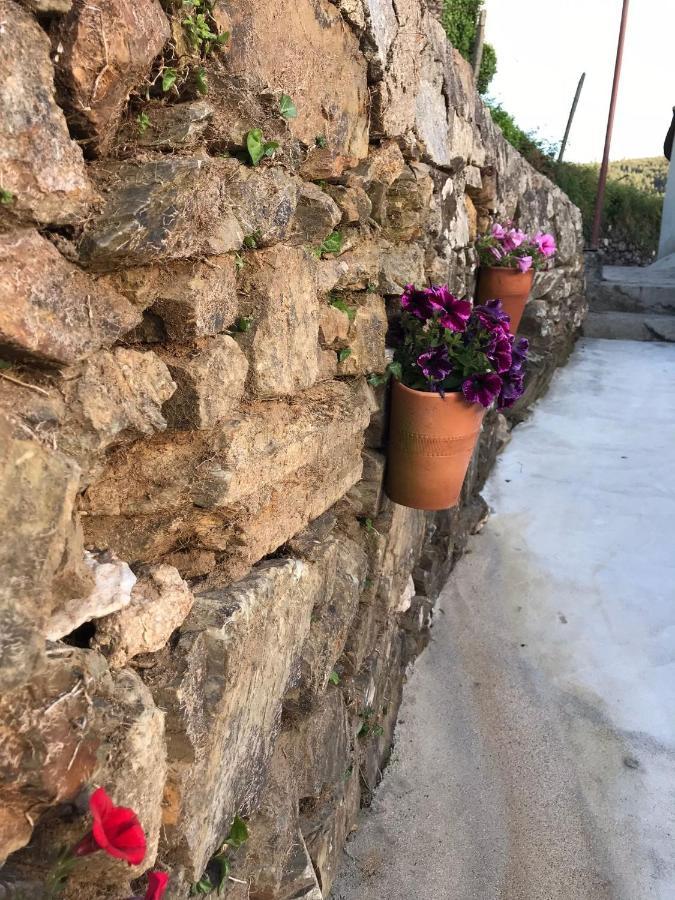 فيلا Casa Da Clarinha قلعة بايفا المظهر الخارجي الصورة